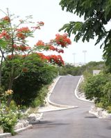 One On Marlin Spa Resort