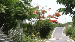 One On Marlin Spa Resort