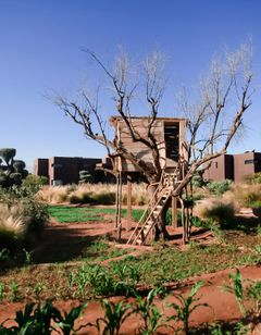Hotel Fellah