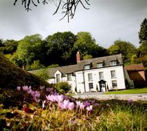 Combe House Hotel Exterior