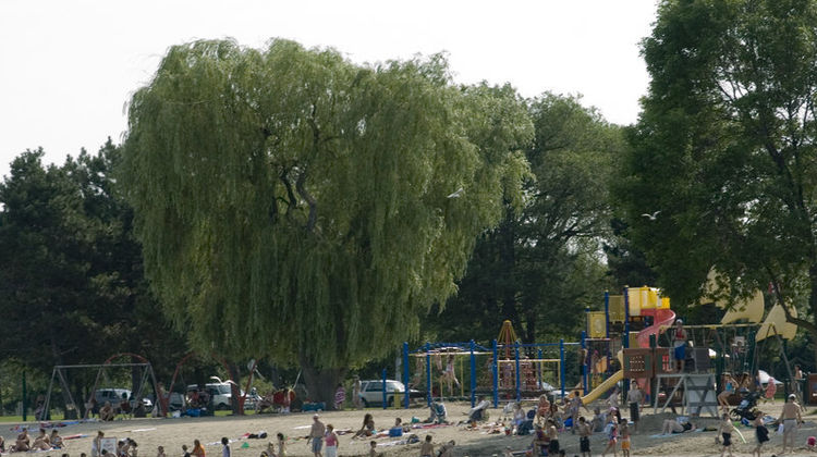 Holiday Inn Express & Suites Barrie Beach