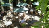 Hotel Schimmelpennick Huys Exterior