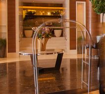 Copthorne Hotel Baranan Lobby