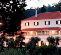 Quinta da Palmeira Boutique Hotel Exterior
