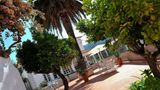Quinta da Palmeira Boutique Hotel Exterior