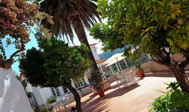 Quinta da Palmeira Boutique Hotel Exterior