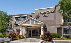 Maple Tree Inn
