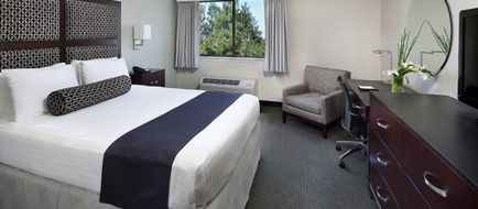 Maple Tree Inn Room