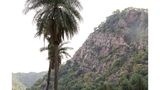 Ramgarh Lodge, Jaipur IHCL Seleqtions Recreation