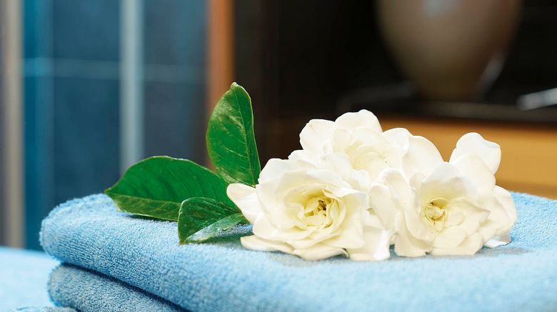 <b>Grand Hotel Majestic Spa</b>. Images powered by <a href="https://www.leonardoworldwide.com/" title="Leonardo Worldwide" target="_blank">Leonardo</a>.