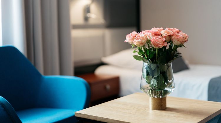 Hotel Apis Room