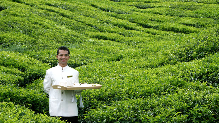 Cameron Highlands Resort Restaurant