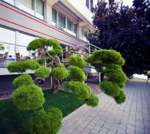 Hotel Slask Exterior
