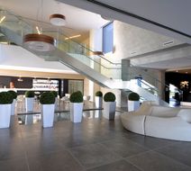 AS Hotel Limbite Lobby