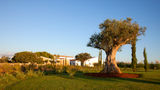 Torralbenc Menorca Exterior