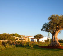 Torralbenc Menorca Exterior