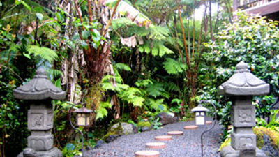 Lotus Garden Cottages B&B