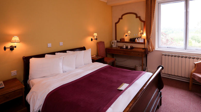 <b>Roebuck Hotel Room</b>. Images powered by <a href="https://www.leonardoworldwide.com/" title="Leonardo Worldwide" target="_blank">Leonardo</a>.
