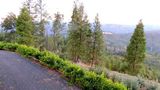 <b>Lillaskog Lodge Exterior</b>. Images powered by <a href="https://www.leonardoworldwide.com/" title="Leonardo Worldwide" target="_blank">Leonardo</a>.