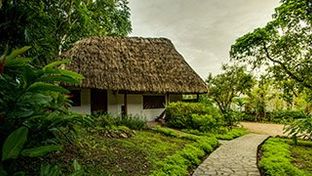 Maya Mountain Lodge