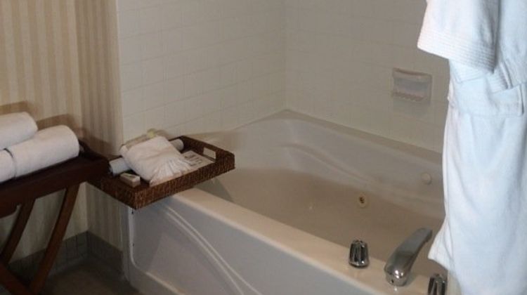 Holiday Inn Swan Court Suite