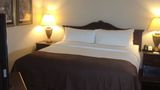 Holiday Inn Swan Court Room