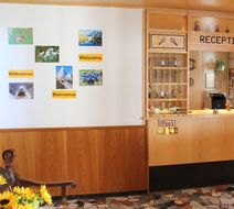 Hotel Elite Lobby