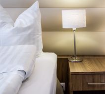 Elektor Hotel Room