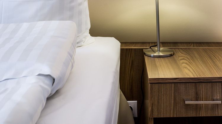 Elektor Hotel Room