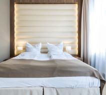 Elektor Hotel Room