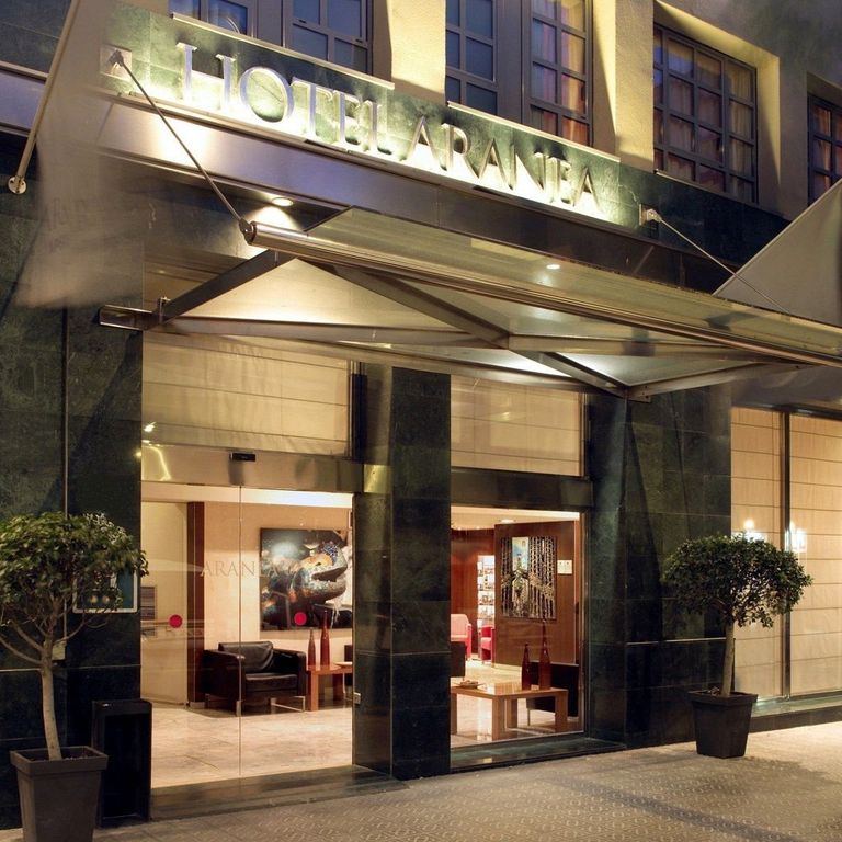 Hotel Aranea
