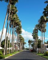 Victoria Palms Inn & Suites