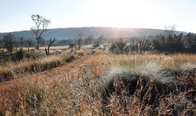 Zulu Camp at Shambala Game Reserve Exterior