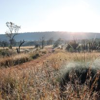 Zulu Camp at Shambala Game Reserve