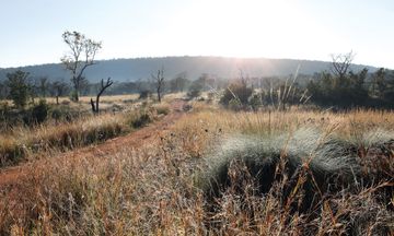Zulu Camp at Shambala Game Reserve