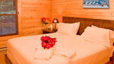 Mount Princeton Hot Springs Resort Room