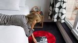 Celebrity City Hotel Nanjing Room