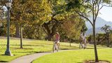Four Seasons Hotel Westlake Village Other