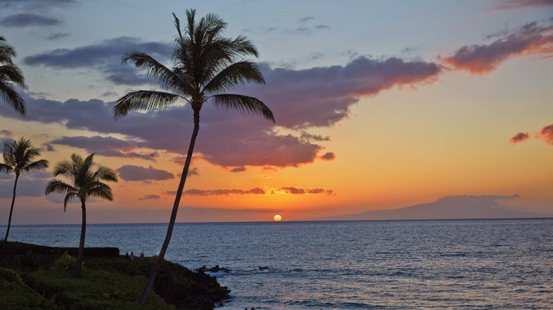 <b>Four Seasons Resort Maui at Wailea Other</b>. Images powered by <a href="https://www.leonardoworldwide.com/" title="Leonardo Worldwide" target="_blank">Leonardo</a>.