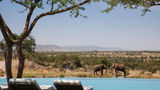Four Seasons Safari Lodge Serengeti Pool