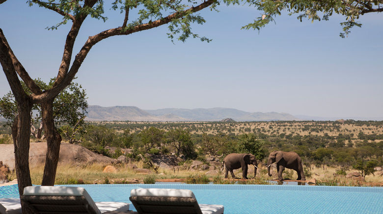 <b>Four Seasons Safari Lodge Serengeti Pool</b>. Images powered by <a href="https://www.leonardoworldwide.com/" title="Leonardo Worldwide" target="_blank">Leonardo</a>.