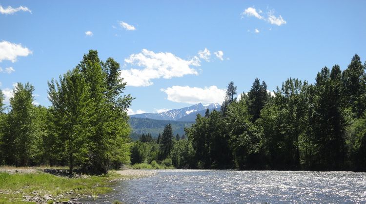 Bitterroot River Inn & Conference Ctr Recreation