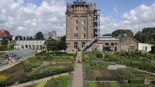 Villa Augustus