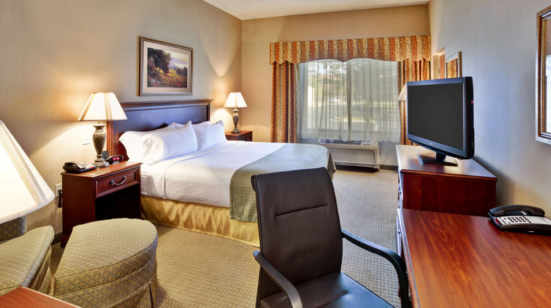 <b>Holiday Inn Hotel & Suites Ann Arbor Room</b>. Images powered by <a href="https://www.leonardoworldwide.com/" title="Leonardo Worldwide" target="_blank">Leonardo</a>.