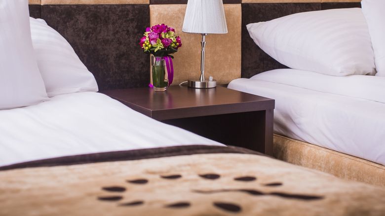 <b>Boutique Hotel's Lodz Pilsudskiego Room</b>. Images powered by <a href="https://www.leonardoworldwide.com/" title="Leonardo Worldwide" target="_blank">Leonardo</a>.