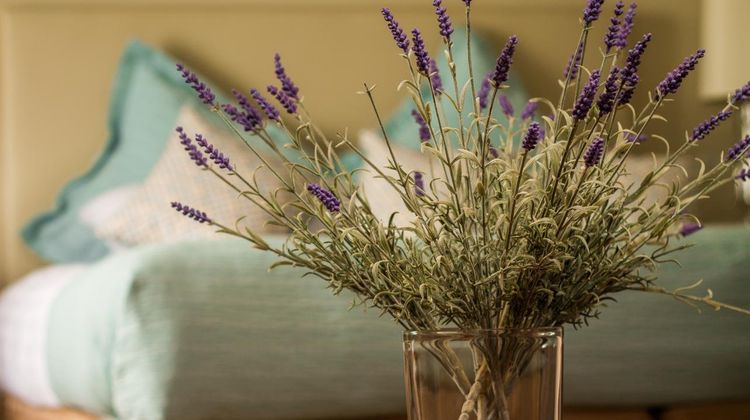 Bunratty Castle Hotel & Leisure Club, BW Room