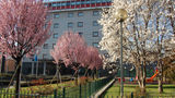 Abacus Hotel Exterior
