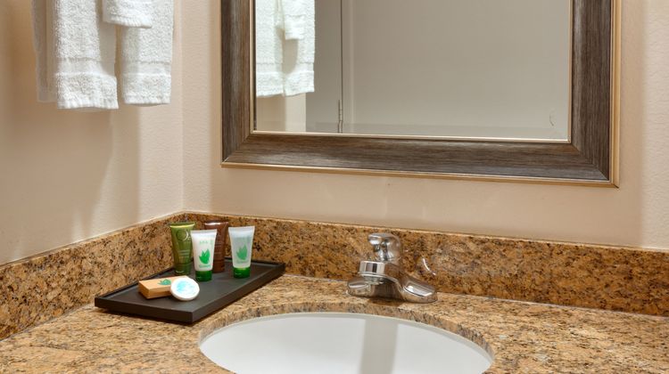 Cortona Inn & Suites Anaheim Resort Room