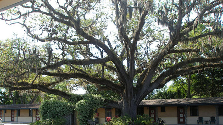 Castillo Inn Exterior