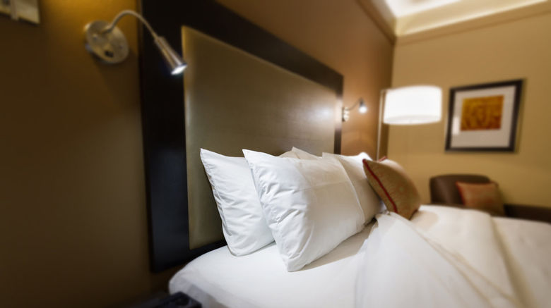 <b>AeroStay Hotel Room</b>. Images powered by <a href="https://www.leonardoworldwide.com/" title="Leonardo Worldwide" target="_blank">Leonardo</a>.